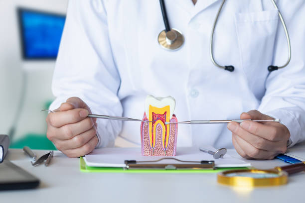 Best Cosmetic Emergency Dentistry in Newport East, RI
